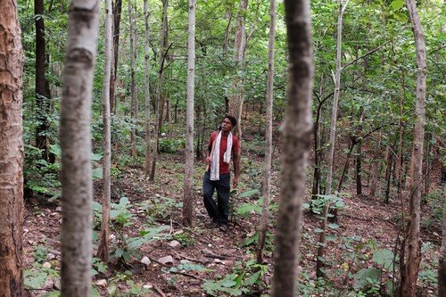 對原住民來說，要名正言順拒絕外來者大規模的伐林行動，獲政府承認部落享有管理和使用森林資源的權利是至關重要的一步。（攝影︰Rohan Mukherji）